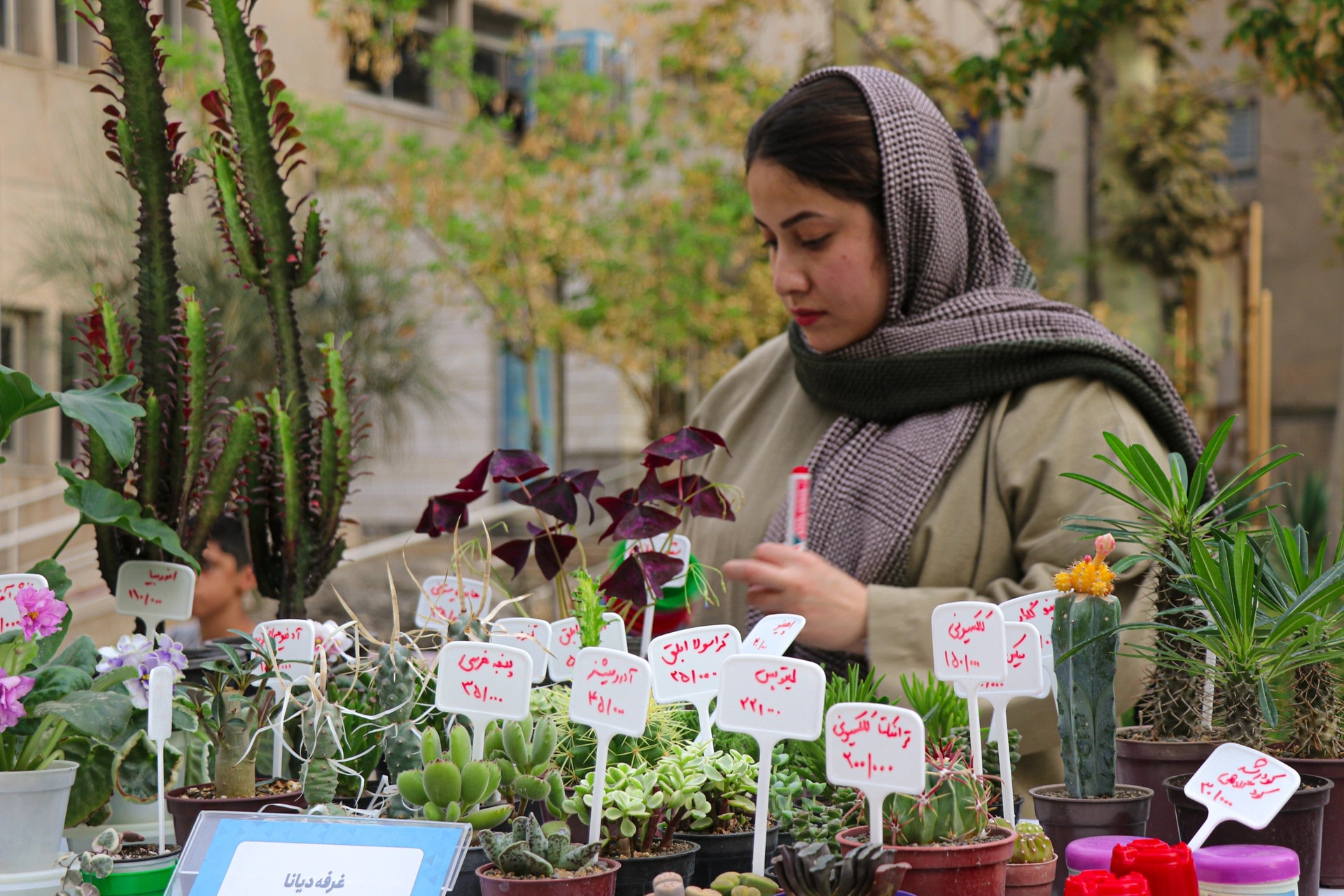 عکس گالری 9